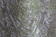 Hopcrofts Holt fibreglass roof work